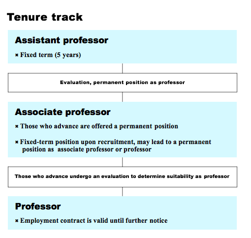 Tenure track.
Assistant professor (fixed term, 5 years) and then evaluation, permanent position as professor.
Associate professor: those who advance are offered a permanent position. Fixed-term position under rectuitment, may lead to a permanent position as associate professor or professor.
Those who advance undergo an evaluation to determine suitability as professor.
Profeesor: employment contract is valid until further notice.